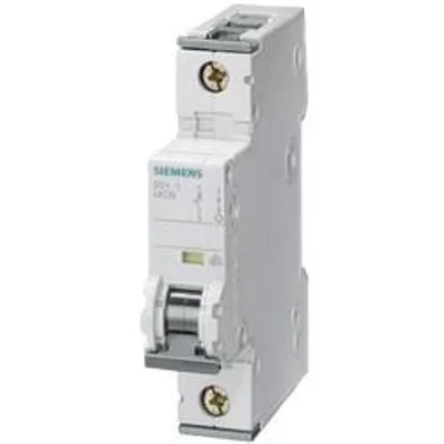 Siemens 5SY4110-6
